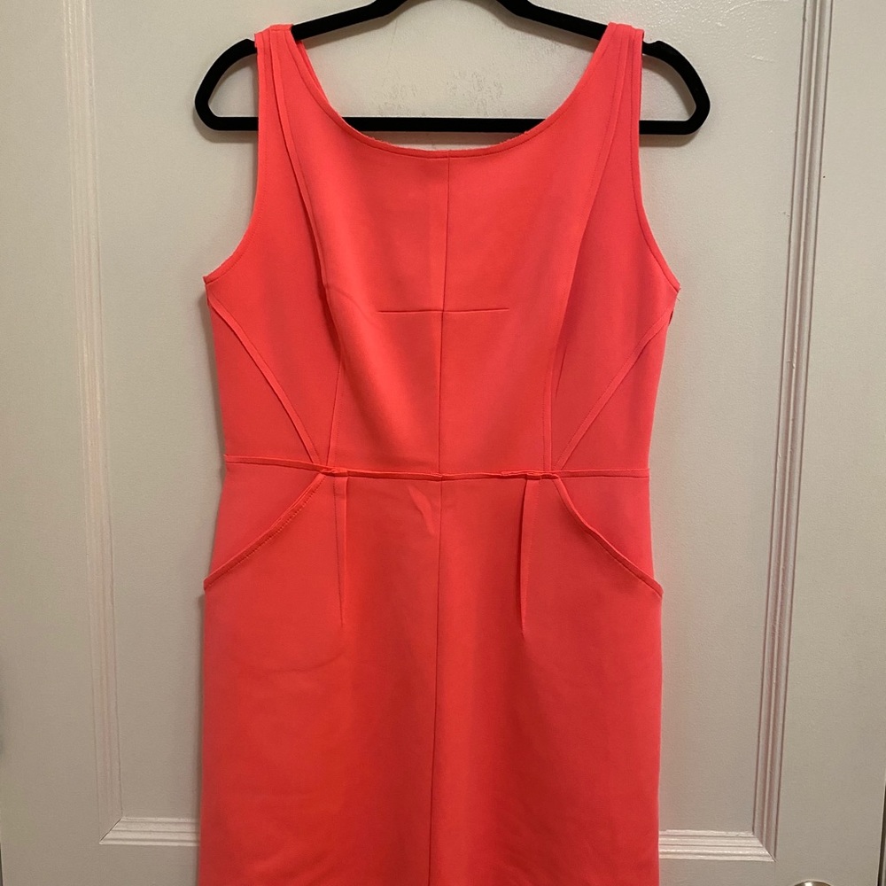 Milly Dress with pockets